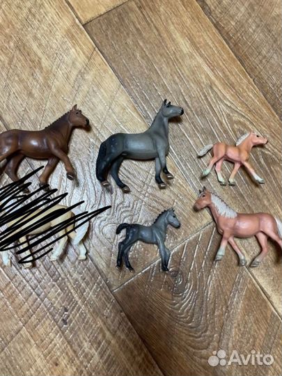 Лошади Attivio