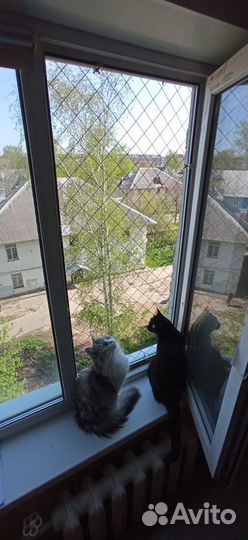 Решетка антикошка металлическая