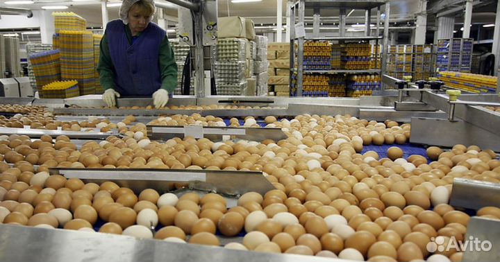 Вакансия на птицефабрике - гибкий график Пермь