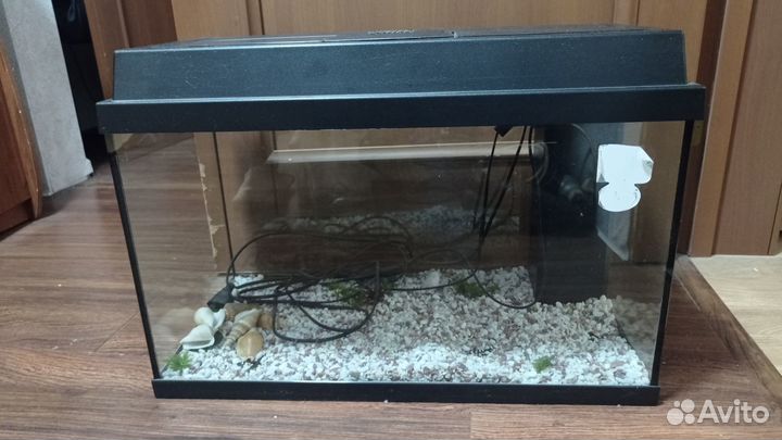 Аквариум