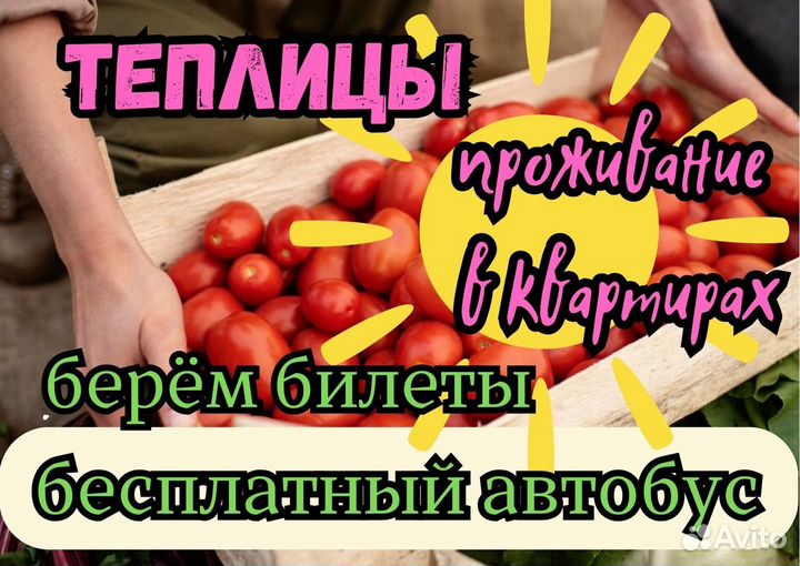 Сотрудники в теплицу. Упаковщики семейные пары и ж