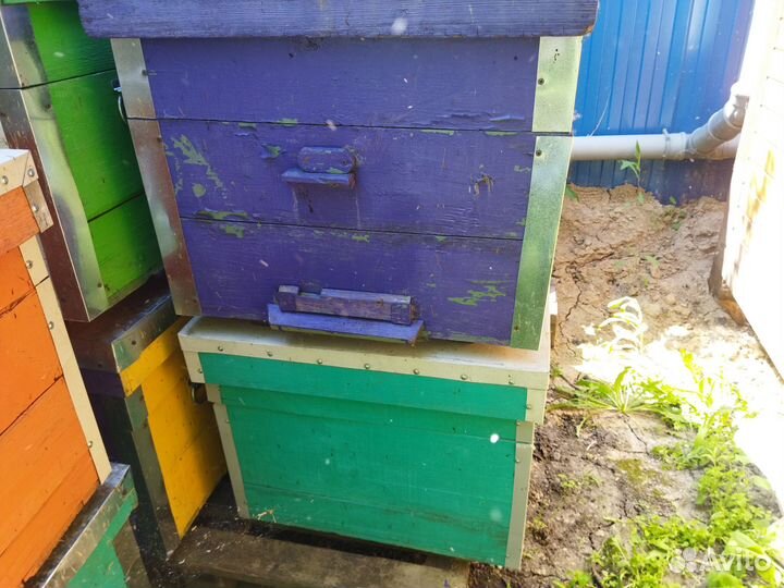 Продаю улья