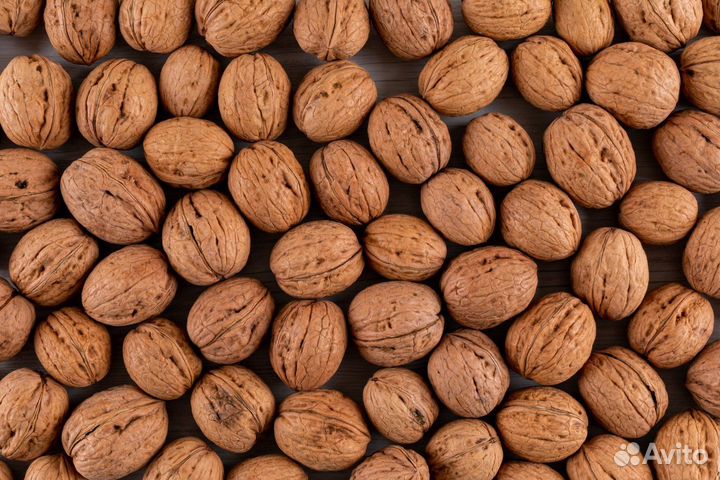 Грецкие орехи 2023