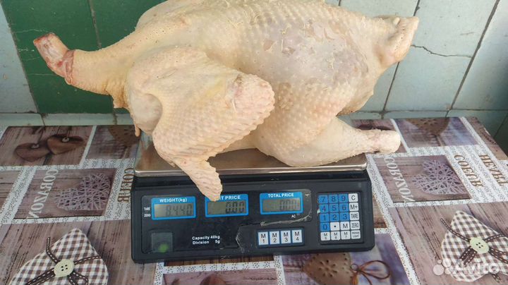 Мясо курица бройлер домашняя индейка