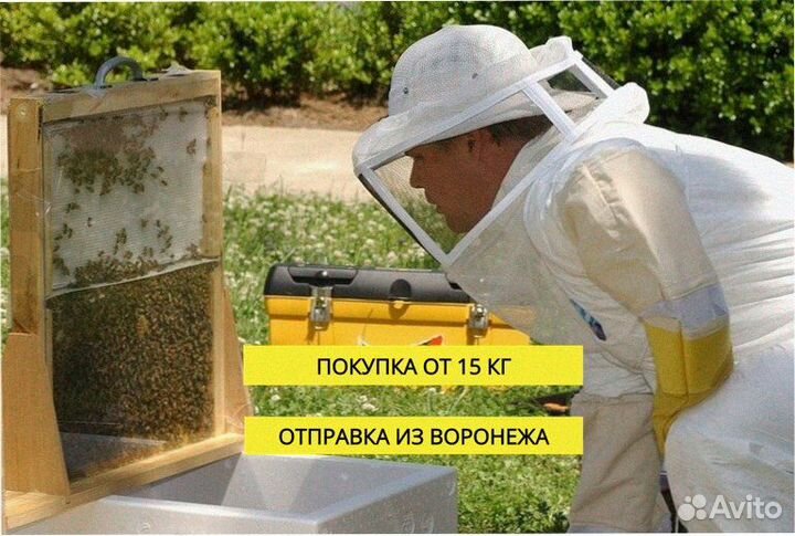 Мед оптом для увеличения вашей прибыли