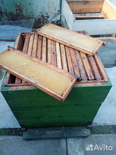 Ульи пчелиные