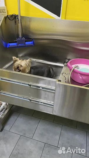 Длясобак мойка груминга и вешало для туш из нерж
