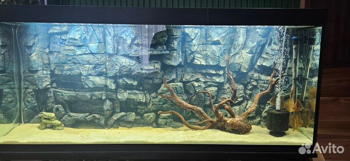 3 D фон для аквариумов