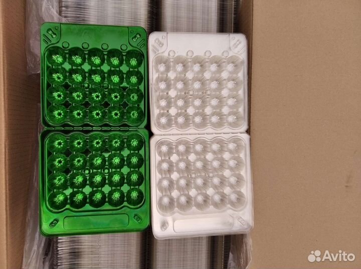 Контейнер для перепелиных яиц