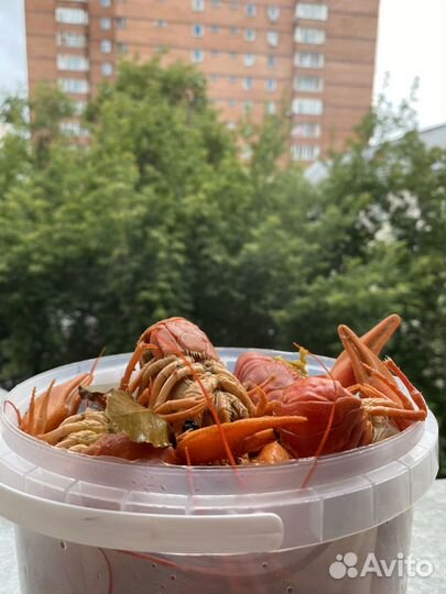 Готовые раки