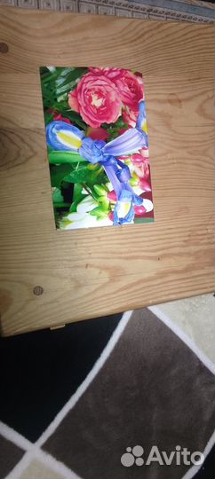 Принтер epson L805