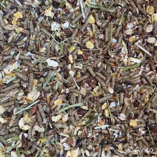 Корм для морских свинок