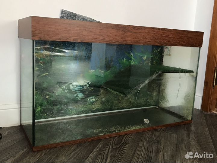 Аквариум