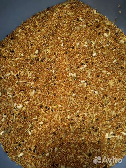 Корм для попугаев