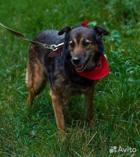 Милая Маруся