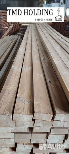 Планкен из термососны сорт авс