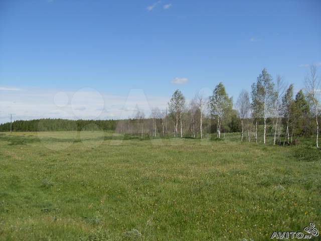 Участок 3,06 га (СНТ, ДНП)