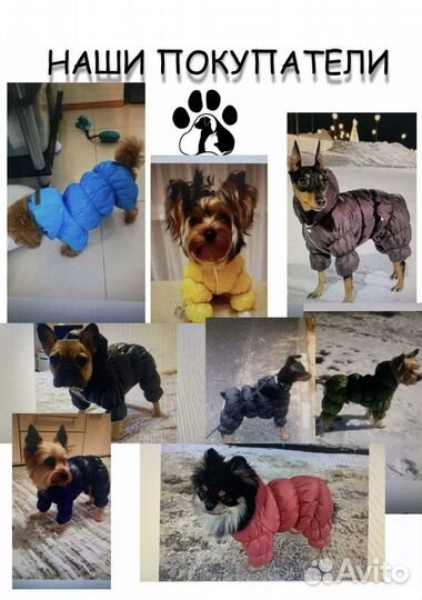 Зимний комбинезон для маленьких собак