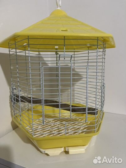 Маленькая клетка