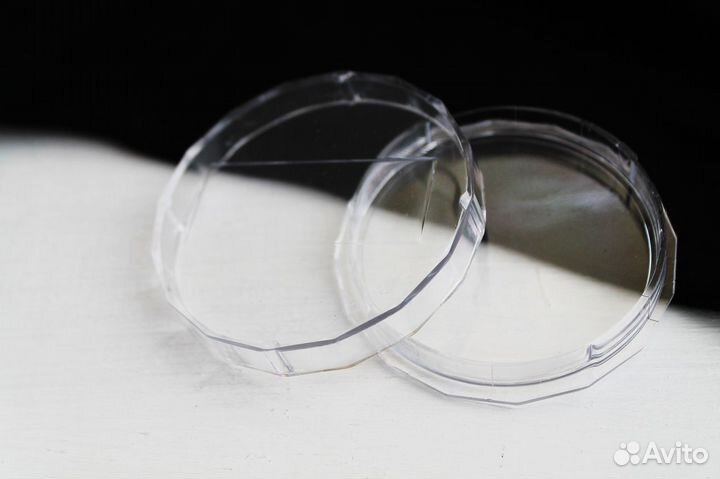 Коробка для хранения чашка петри 2 шт