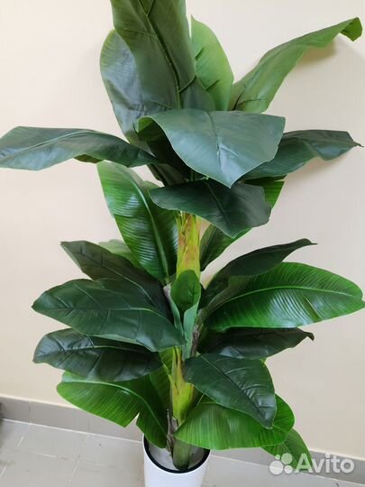 Пальма Банановая Премиум искусственная цветок дом