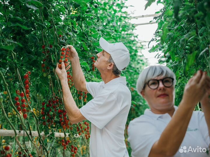 Рабочий по защите растений