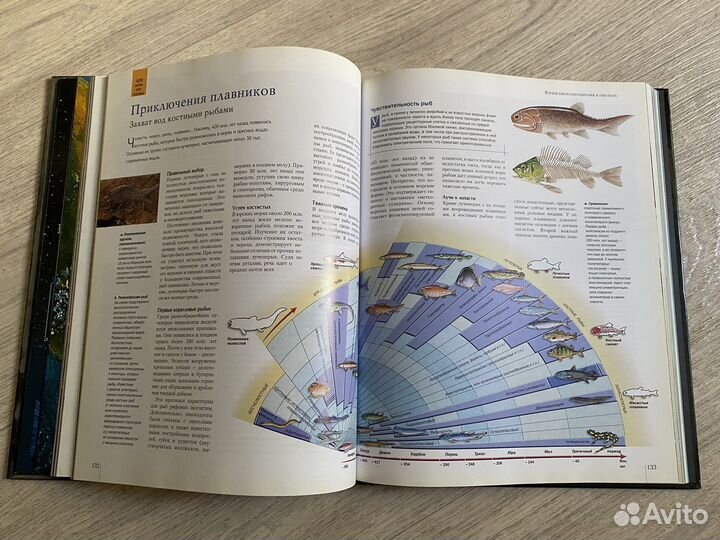 Книга Удивительная планета Земля