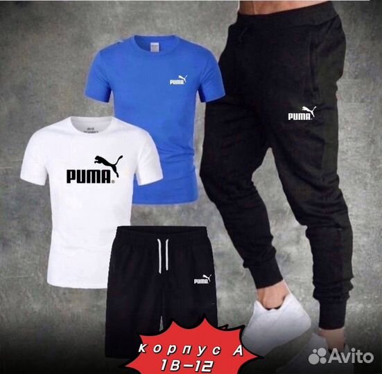 Спортивный костюм мужской четверка puma