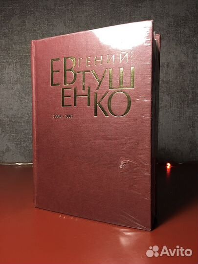 Евтушенко 2004-2007
