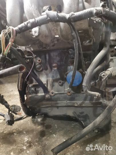 Двигатель Nissan Almera N16 1.6 QG16 2006