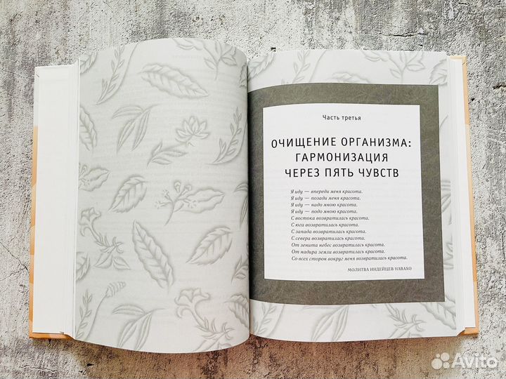 Райчур, Кон: Абсолютная красота