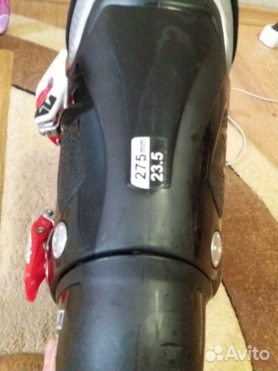 Горные лыжи