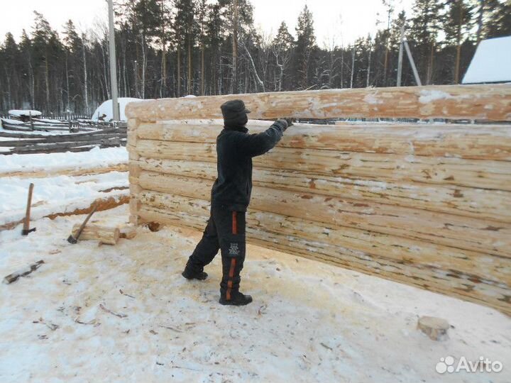 Сруб 6х6 5 стенка