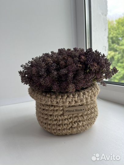 Корзинка с чабрецом подвесная, чабрец, чай, травы