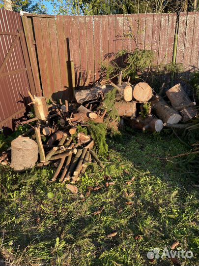 Дрова ель