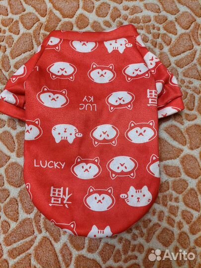 Одежда для животных