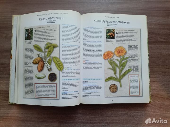 Энциклопедия лекарственных растений