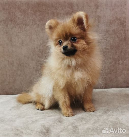 Супер мини девочки