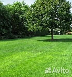 Газон от производителя