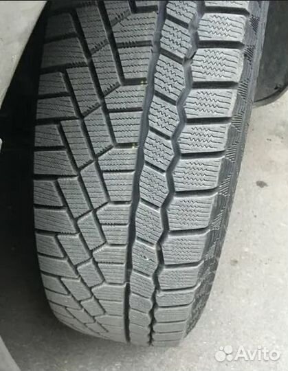 Gislaved Nord Frost 200 205/50 R17 93T