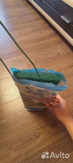 Аквариум с тумбой