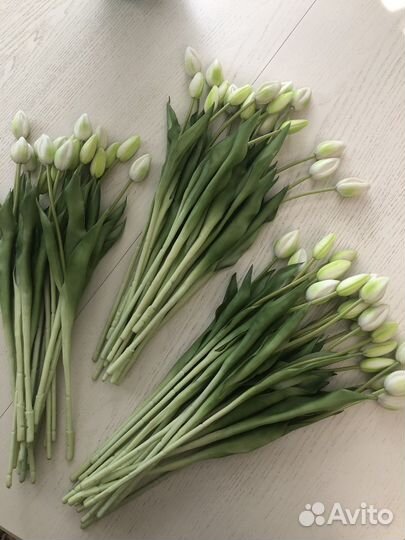 Тюльпаны Kuchenland 21 шт