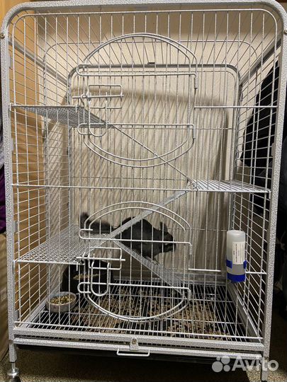 Клетка большая +поилки и миска для еды