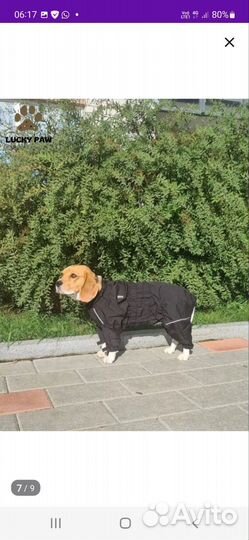 Комбинезон-дождевик р.L