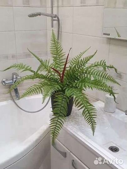 Папоротник комнатный, искусственный папоротник, ис