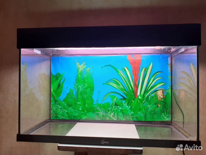 Аквариум