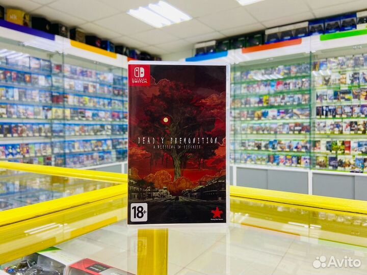 Deadly Premonition 2: A Blessing in Disguise (NS)