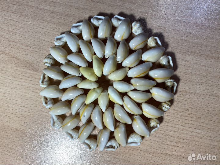 Подставка из ракушек