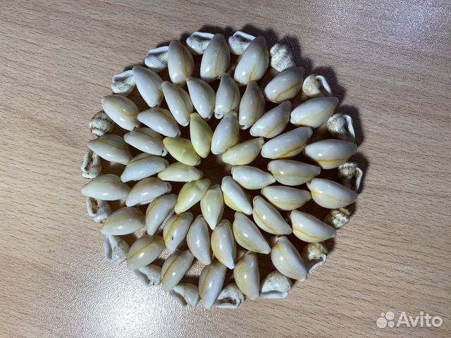 Подставка из ракушек