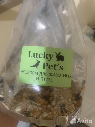 Клетка для грызунов бу